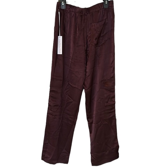 NWT Young Fabulous & Broke Findlay Satin Cargo Carpenter Pants in Raisin - M - Picture 8 of 16